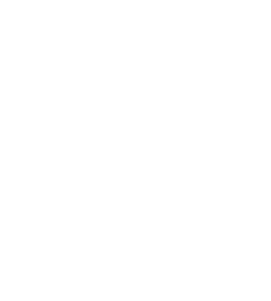 Security Monster logo: a line drawing of a globe
